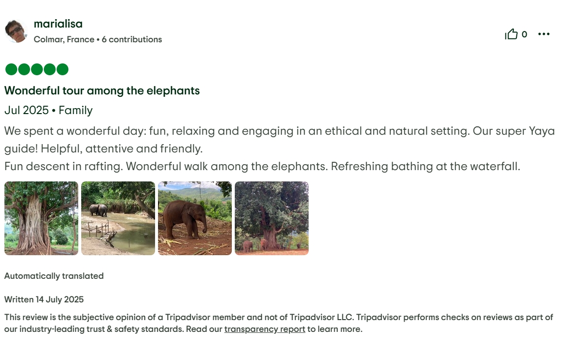 pon elephpant chiangmai thailand reviews